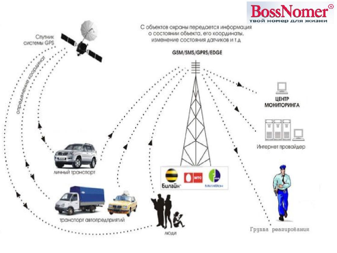 Как работает сотовая сеть GSM